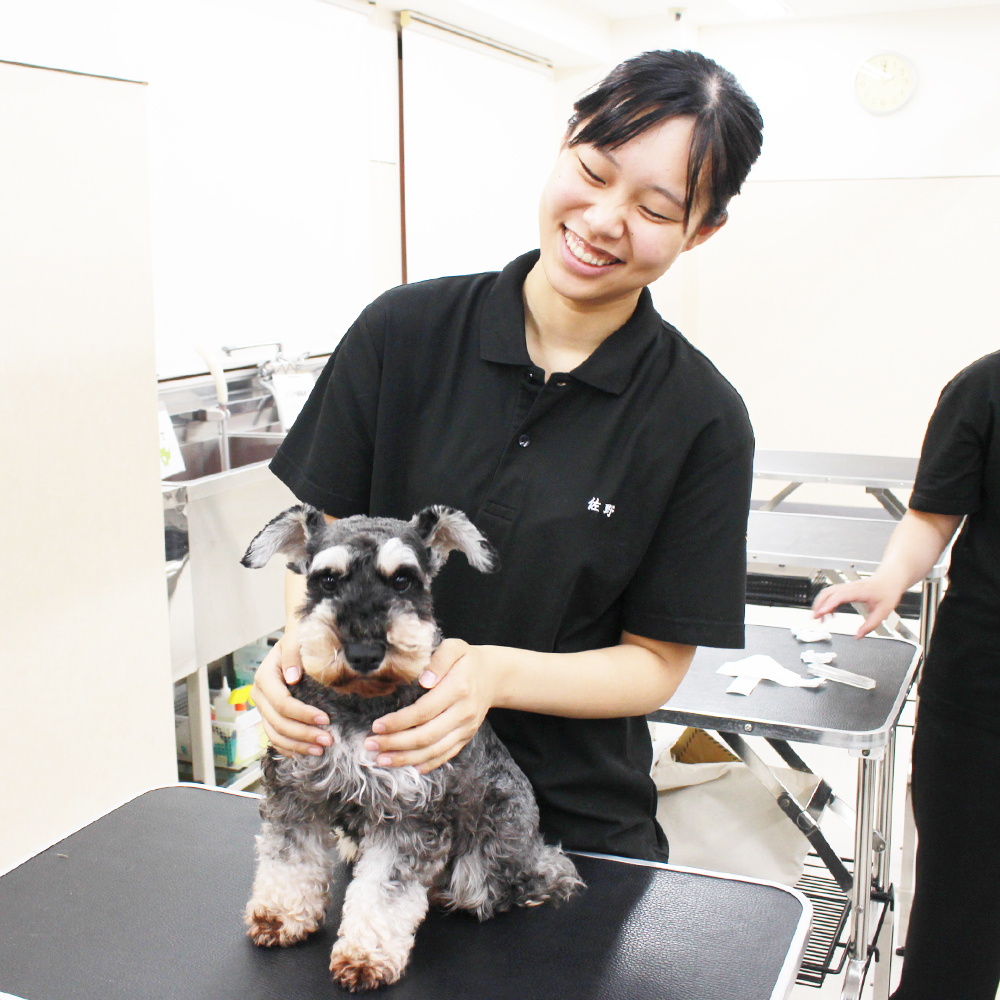 動物看護実習☆